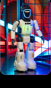 Robot vocal interactif intelligent IA, compagnon programmable qui chante et danse, robot de simulation, jouet transfrontalier en gros - Product Image 3