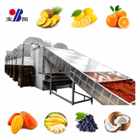 Multi-tier SS304 gaasbanddroogmachine voor voedsel, snacks en dierenvoer, continue droger