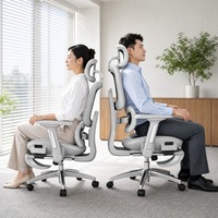 Silla de Oficina Ergonómica Moderna y Cómoda, Reclinable, Ajustable en Altura, Giratoria, Inclinable, Venta al Por Mayor