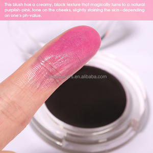 Son kem má hồng màu hồng kem, thương hiệu riêng, bộ sản phẩm thuần chay, nhãn hiệu riêng, trang điểm, màu đen trong suốt, nhũ, phấn má hồng đổi màu - Product Image 4