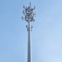 Tiang Antena Komunikasi Baja Galvanis 4g/5g 30m 40m 50m 60m yang Dapat Disesuaikan, Tiang Telekomunikasi Tinggi, Monopole, Menara Monopole