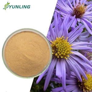 चिकोरिक एसिड पाउडर इचिनेसिया पत्ती पाउडर इचिनेसिया पाउडर 80% आपूर्ति - Product Image 1