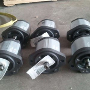 ปั๊มเกียร์ Ma Zuqi รุ่น GHP2A-D-20-FG สำหรับเครื่องทดสอบอุปกรณ์รักษาสิ่งแวดล้อม ปั๊มไฮดรอลิก - Product Image 1