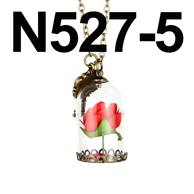 N527 5