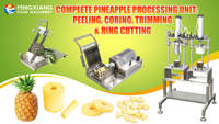 Ananas Schil-, Ontpit- en Snijmachine |   Complete apparatuur voor ananasverwerking