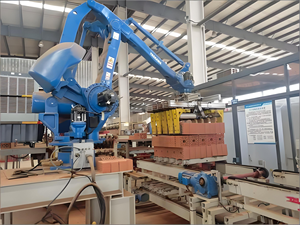 Robot de Paletización con Capacidad de Carga de 320 kg y Alcance de 3474 mm, Pinza de Vacío Personalizada, Control PLC y Servoaccionamiento Eléctrico - Product Image 2
