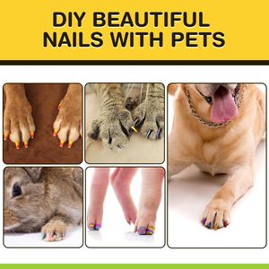 Nouveau produit 7 couleurs de vernis à ongles <span class=keywords><strong>pour</strong></span> animaux de compagnie imperméables et sûrs <span class=keywords><strong>pour</strong></span> le bricolage de belles idées d'ongles <span class=keywords><strong>pour</strong></span> chiens - Product Image 6