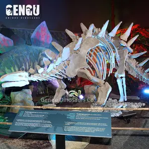 Khai quật Skeleton Stegosaurus Khủng Long Hóa Thạch Để Bán
