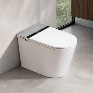 WC intelligent monobloc 110V/220V avec télécommande, siège chauffant et séchage à l'air, bidet électrique - Product Image 1