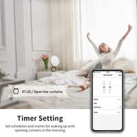 Prise intelligente Bingoelec standard UE avec interrupteurs à rideau, panneau tactile en verre, commande vocale, noir doré, pour maison connectée