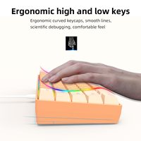 Keyboard Game berkabel, krim dan oranye 60% kabel Keyboard RGB lampu latar LED ultra-kompak Teclado Gamer kabel ergonomis
