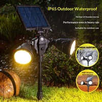 Projecteurs solaires LED les plus vendus pour l'extérieur, jardin, paysage, double tête, à fixation au sol, avec détecteur de mouvement, indice de protection IP65