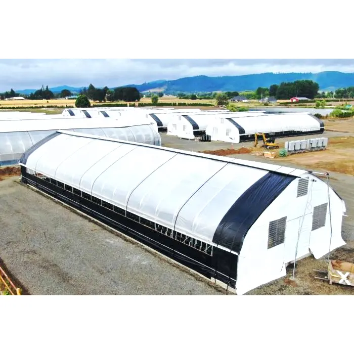 Cheap Pe Agricultural Green houses Tunnel Plastic Film Blackout Light Deprivation Hemp mushroom greenhouse