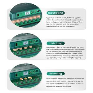 Incubadora de Gansos NOVA <span class=keywords><strong>2025</strong></span> com Controle Automático de Umidade e Virada Automática de Ovos 100V-240V AC Taxa de Eclosão de 98% Capacidade para 130 Ovos - Product Image 5