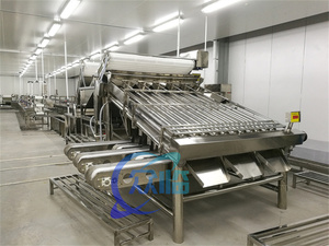Stainless Steel 304 Roller Fish Sorter <strong>Croaker</strong> Grader Zolim Sardine Sorting Machine Mackerel Grader Small Fish Sizing Machine - Product Image 2