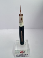 Cable Industrial Flexible con Aislamiento XLPE y Núcleo de Cobre, Clasificación IP66, para Uso en Electrodomésticos y Construcción