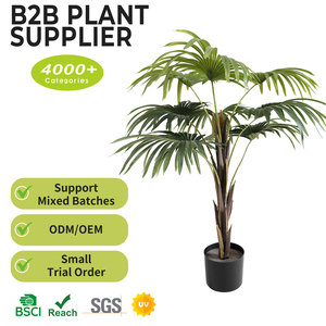 <span class=keywords><strong>Palmier</strong></span> artificiel de 90 cm à feuilles <span class=keywords><strong>en</strong></span> <span class=keywords><strong>éventail</strong></span>, vente <span class=keywords><strong>en</strong></span> gros, <span class=keywords><strong>d</strong></span>écoration <span class=keywords><strong>d</strong></span>'intérieur, <span class=keywords><strong>en</strong></span> plastique durable, simulation moderne, arbre synthétique - Product Image 2
