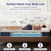 Matelas en tissu de soie Cool Ice Queen King de luxe épaissir la mousse à mémoire de forme matelas confortable Euro matelas à taie d'oreiller