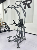 ROSEN Appareil Commercial de Musculation Abdominale pour la Renforcement Musculaire et l'Entraînement de Base – Rack de Crunch Abdominal Debout