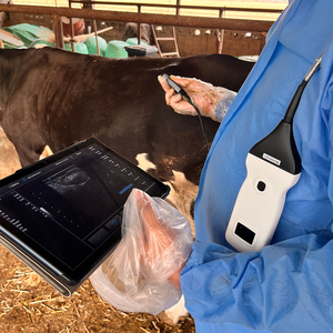 <span class=keywords><strong>เครื่อง</strong></span>อัลตราซาวนด์ไร้สายสำหรับสัตว์พร้อมหัวตรวจแบบเส้นตรงสำหรับตรวจการตั้งครรภ์ในโค แกะ แพะ ม้า - Product Image 3