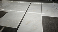Dalles et Plaques de Marbre Blanc Rhino Bianco Nambia Poli Transparent de Luxe Moderne pour Murs et Sols, Décoration Intérieure Royal White