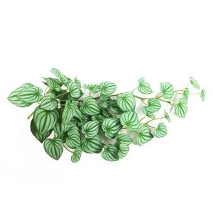 ผลิตภัณฑ์ใหม่85เซนติเมตรยาวเทียมแตงโมใบแขวนพืช - Product Image 2