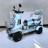 Tricycle électrique intelligent 500W à 12 tubes avec double télécommande et alarme, idéal pour les courses quotidiennes en ville des personnes âgées - Vente chaude