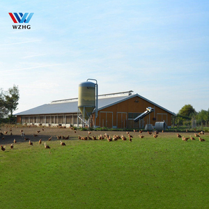 Chuồng gà nuôi 10.000 con, làm bằng panel sandwich lắp ghép, thông gió kiểu đường hầm, khung thép không gỉ. - Product Image 2