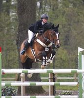 Équipement d'Équitation Haut de Gamme avec Configuration Réglable pour l'Entraînement des Chevaux et les Événements de Saut d'Obstacles
