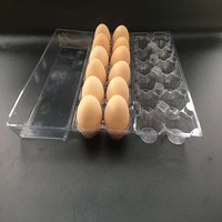Plateau à œufs rectangulaire transparent en PET à triple pliage, emballage plastique, capacité 2x6 œufs, 2 rangées de 6 alvéoles pour 12 œufs de grande taille