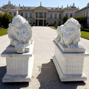 Estatua de León Acostado en Mármol Blanco Natural Tallada a Mano TREVI, Diseño Europeo, Superficie de Alto Pulido Duradera para Uso en Exteriores de Villas - Product Image 6