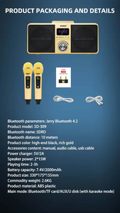 Bán Như Hot Bánh Sd309 Tùy Chỉnh 2023 Chất Lượng Cao Sub Woofer Máy Tính Để Bàn Bt Với Không Dây Microphone SDCD Loa Karaoke - Product Image 6