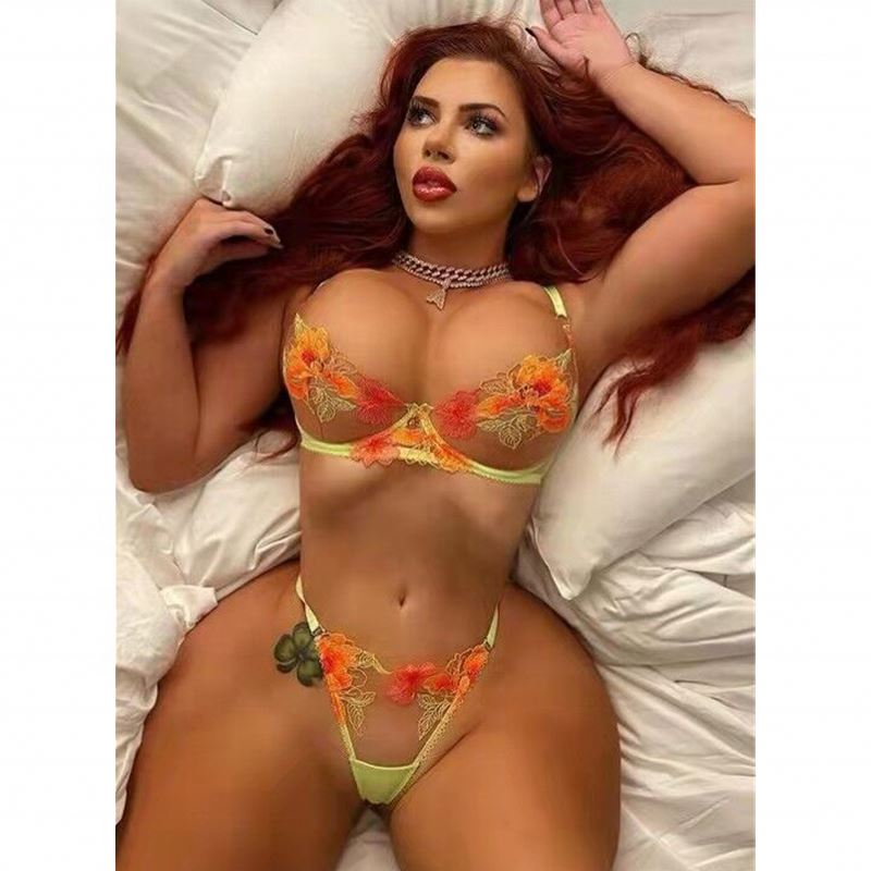 X2266 Sexy Design Floral Embroidery Lace Bra Set for Women X2266 Sexy Design Floral Embroidery Lace Bra Set for Women