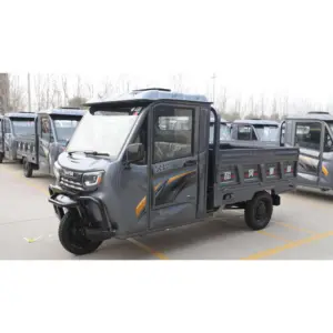 Customizable Adult Electric Tricycle Enclosed Cargo Tricycle Farm Cargo Tricycle