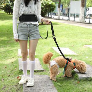 Riñonera de Nailon para Perros, Cinturón de Correr, Bolsa de Cintura con Soporte para Teléfono y Botella de Agua para Correr, Caminar, Ciclismo y Camping - Product Image 4