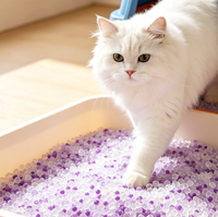Litière pour chat décorative en cristal violet 3L, agglomération rapide, hautement absorbante, faible dispersion, silice sûre