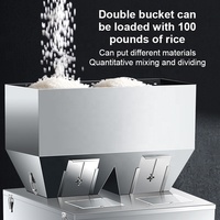 Machine de remplissage à double tête personnalisable en usine 220V 110V pour poudre d'épices, granulés alimentaires, céréales, riz, grains, thé et assaisonnements