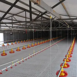 Coop de frango novo projetado, equipamento para alimentação e beber aves de corte