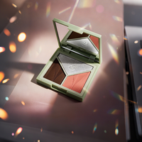 Palette de maquillage multifonctionnelle pour le visage, surligneur et fard à joues en poudre