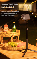 Power Bank Rechargeable Led Camping Light 3 en 1Multi-fonctionnel 10000mAH Fill Lamp 800LM Camera Camp Lantern avec PSE