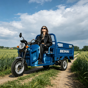 2026 BEIHAI Three Wheeled Supercar Cheap Mini 60V 2000W Scooter 3 Wheel <b>Passenger</b> Tricycles for Adults - Product Image 2