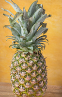 Verse ananas