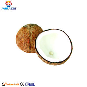 เครื่องคั้นน้ำกะทิแบบมืออาชีพเครื่องสกัดแบบสกรูทำจากกะทิสดทำจากสแตนเลส - Product Image 5