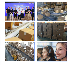 Nhanh Chóng Và Chi Phí Hiệu Quả Lcl + Thể Hiện Vận Tải Hàng Không Chuyển Giao Nhận Dịch Vụ Hậu Cần Từ Trung Quốc Đến Vương Quốc Anh Mexico Brazil Hoa Kỳ - Product Image 4