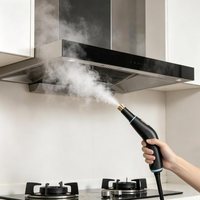 Nettoyeur Vapeur Portable à Haute Température et Pression pour la Nettoyage des Hottes de Cuisine Domestiques, 3 Niveaux Réglables