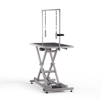 Table de toilettage pour animaux de compagnie à hauteur réglable électriquement, table de toilettage pour chien et chat, séchage et coiffage, table de toilettage pour salon d'animaux de compagnie, usage professionnel