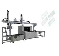 Microscope Slide Frosted Slide Glass Laser Cutting Machine