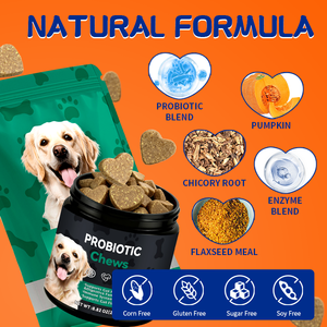 犬の消化性プロバイオティクスチューサプリメント、Lactobacillus Acidophilus & FOS、シニアストレスサポート、プライベートラベル & パッケージング - Product Image 3