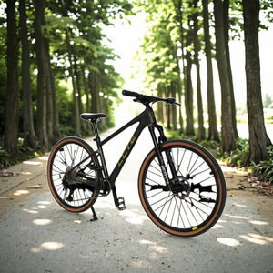 Bicicleta de montaña de lujo de fibra de carbono - Product Image 5