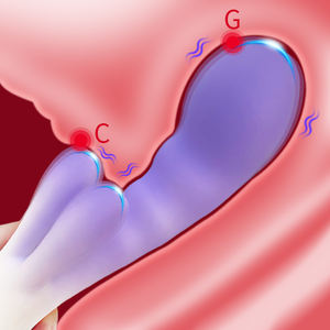 Nouveau vibromasseur pour point G PINKZOOM lapin stimulateur clitoridien Sexy OEM ODM femmes <span class=keywords><strong>OMG</strong></span> Point gode baguette de massage jouets pour adultes - Product Image 2